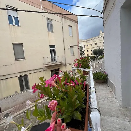 Appartement Lips House *